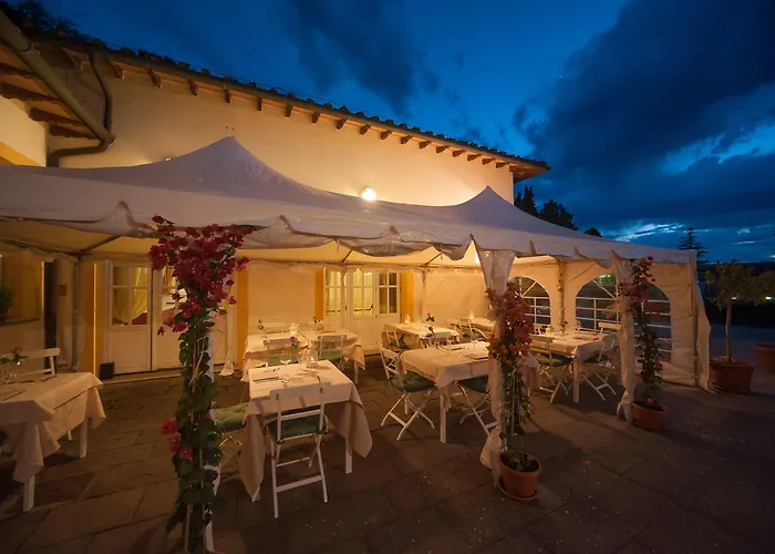 Foresteria 3* 볼테라