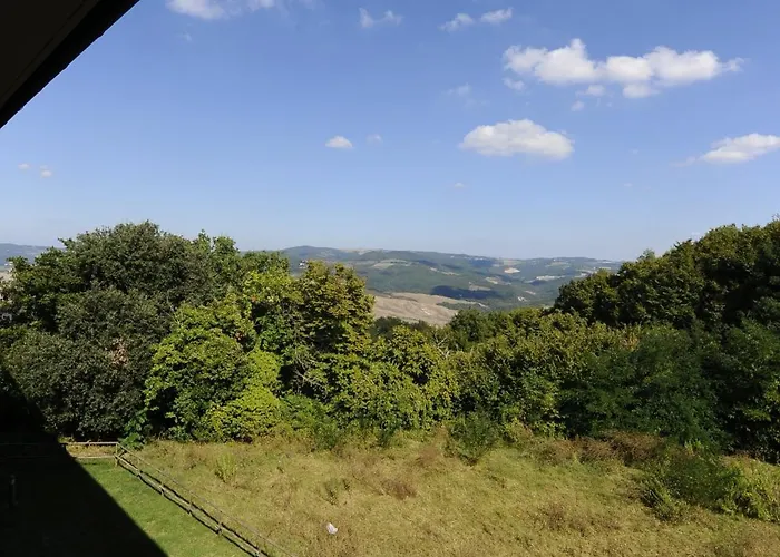 Foresteria 3* 볼테라